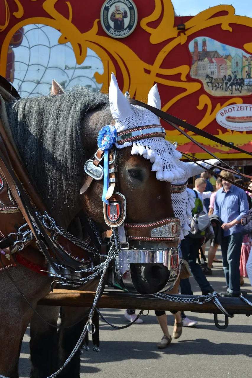 Brauereigaul mit Prachtgeschirr auf der Wiesn